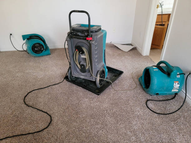 Best Local water damage restoration  in Sutter, CA
