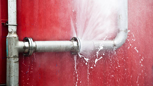 Best Mold removal after water damage  in Sutter, CA