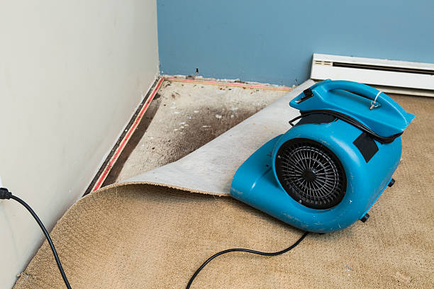  Sutter, CA Water damage restoration Pros